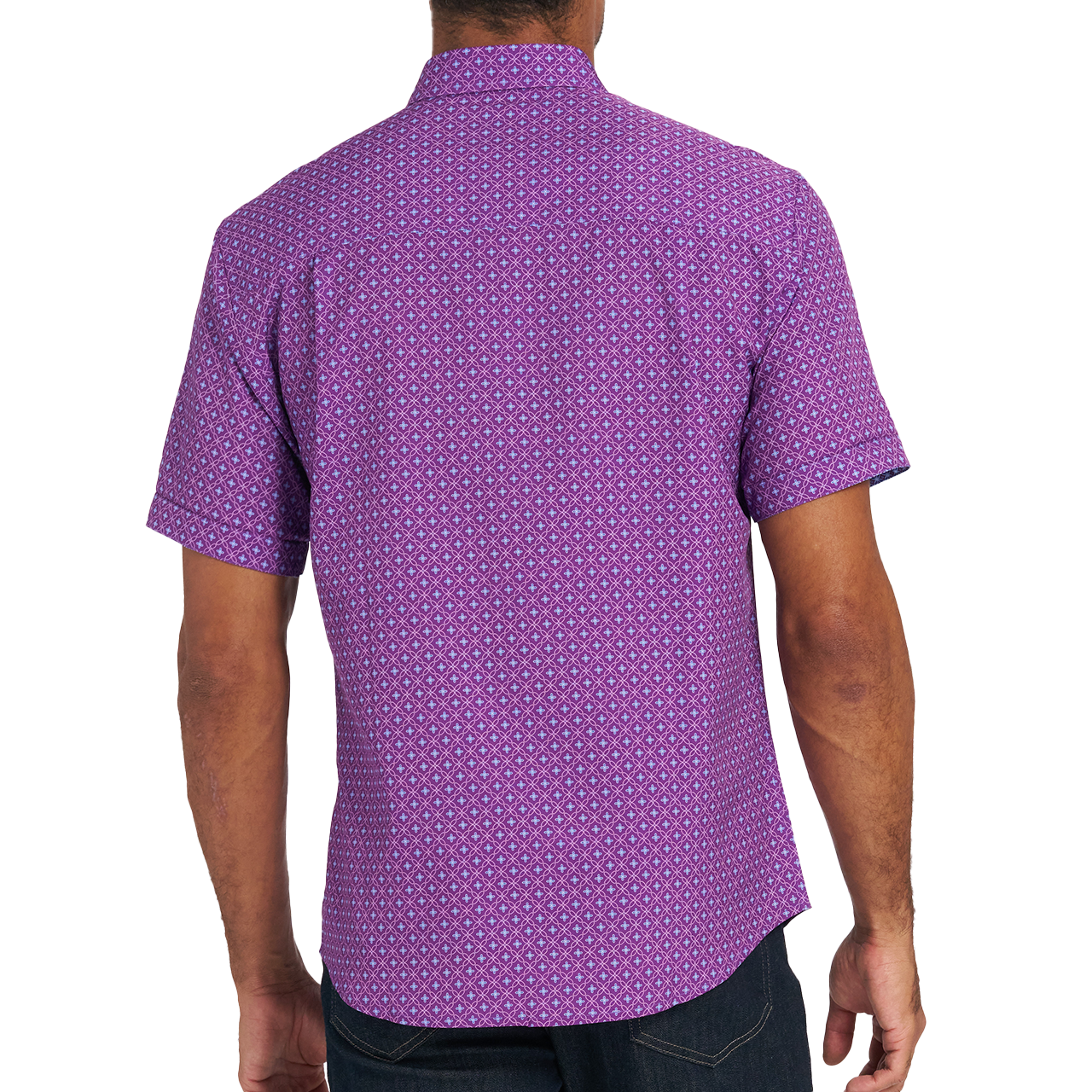 PURPLE BACK