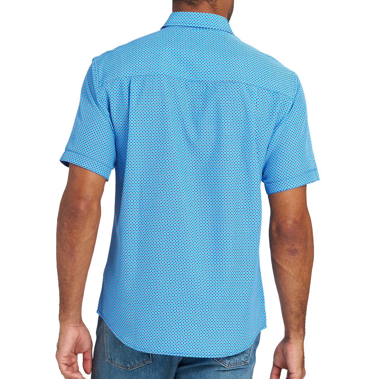 BLUE BACK