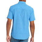 BLUE BACK