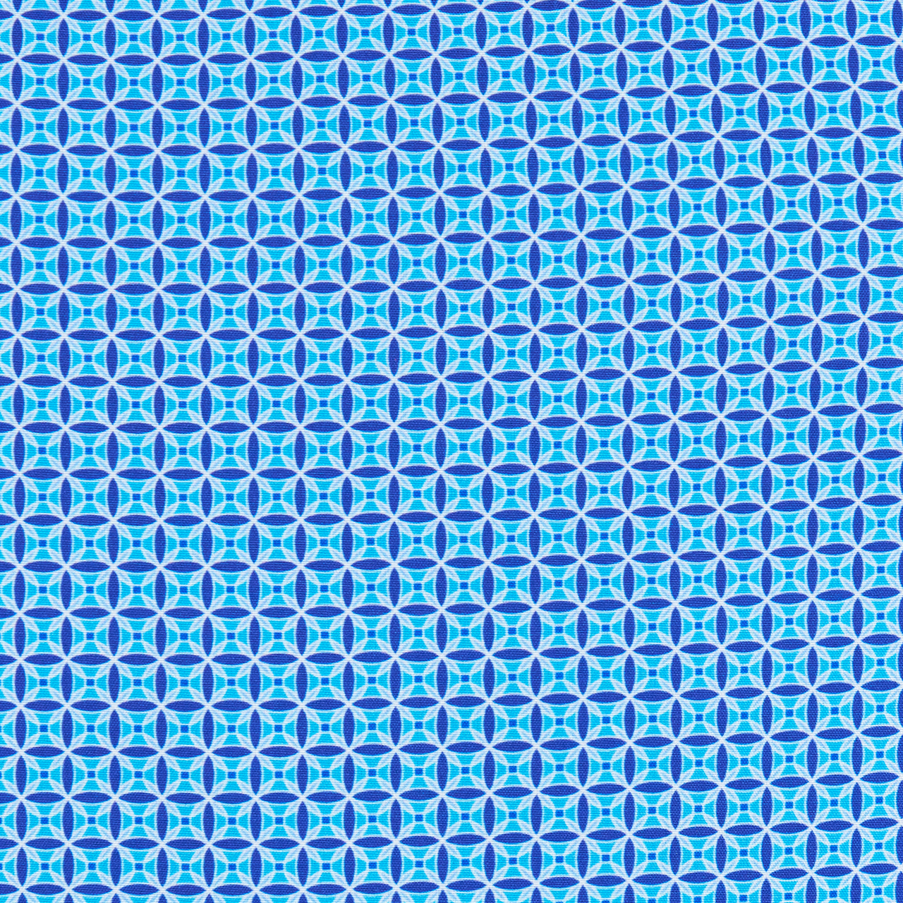 BLUE DETAIL